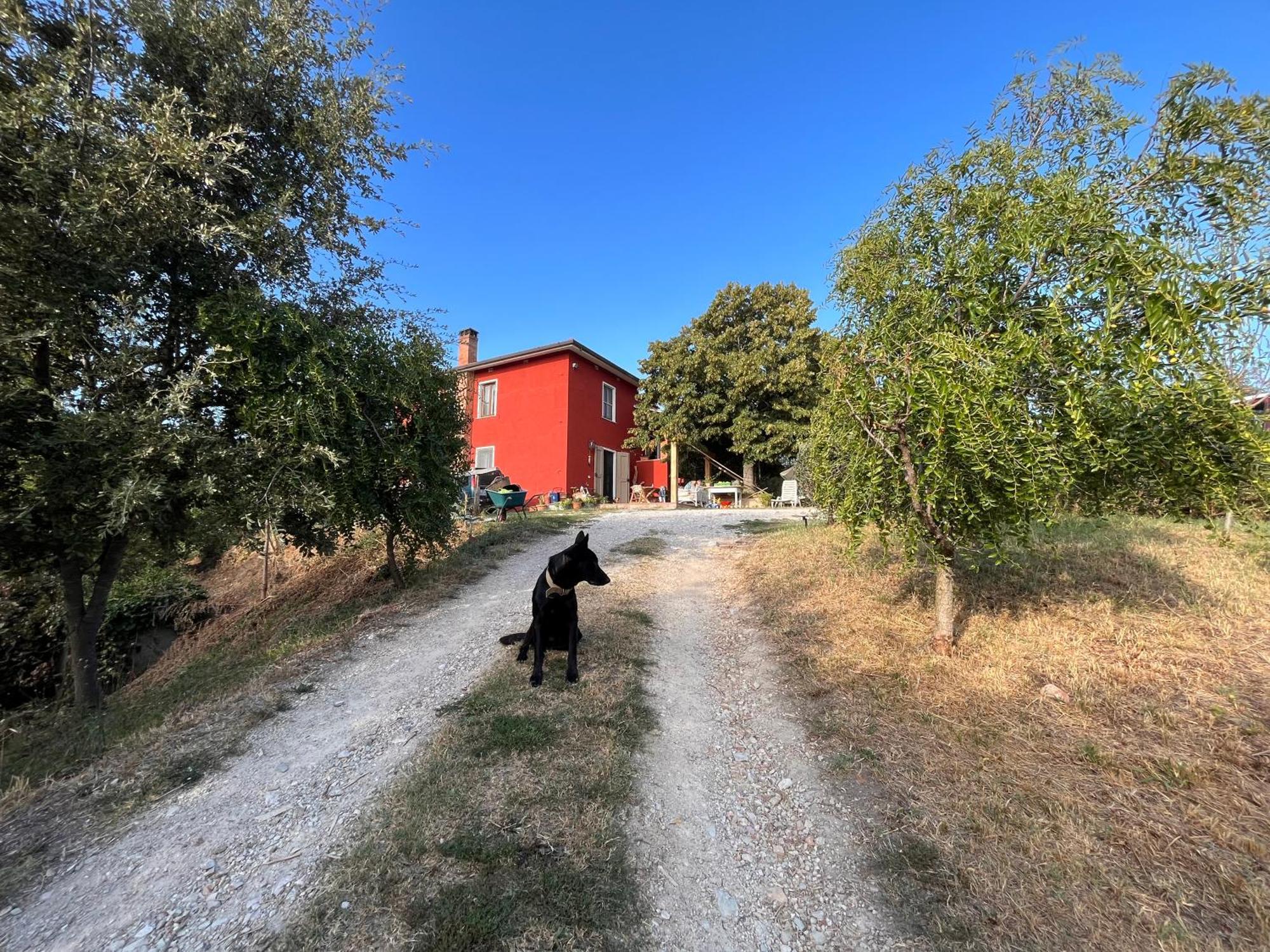 Podere Orzale Farmhouse Bed & Breakfast Usigliano Exterior photo