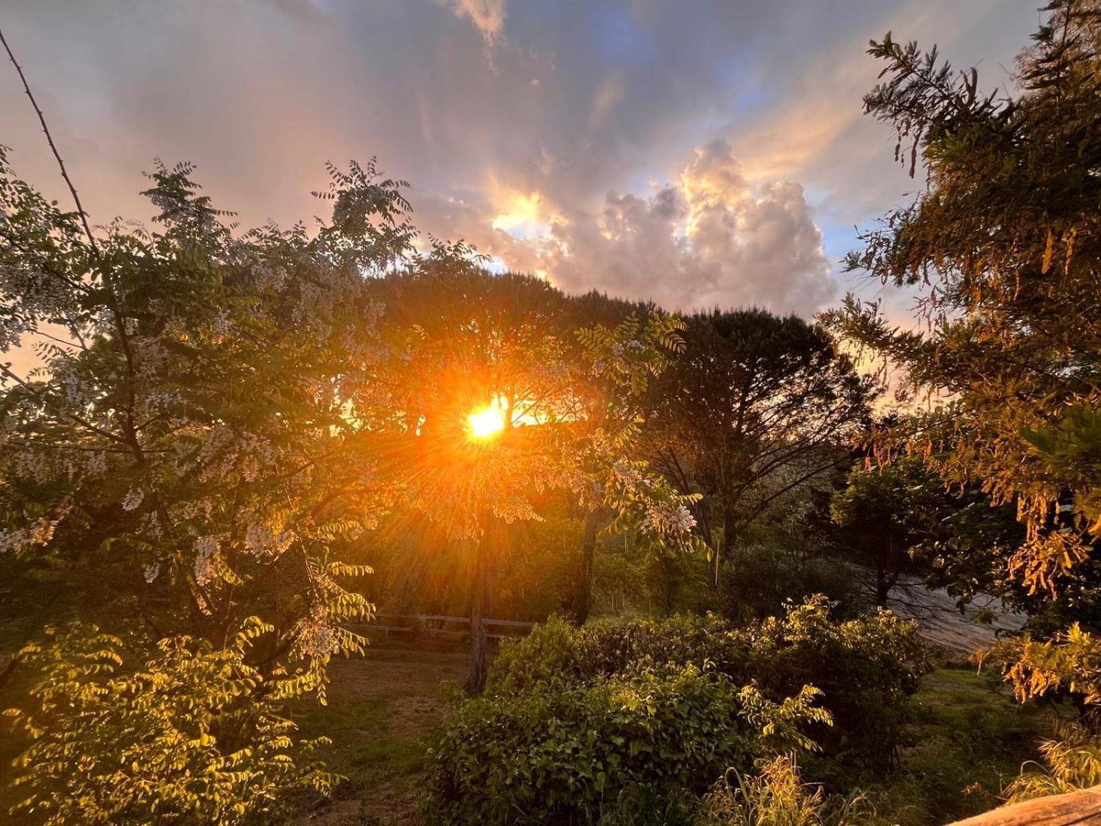 Podere Orzale Farmhouse Bed & Breakfast Usigliano Exterior photo